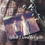 What I Wouldn't Give (Acoustic Version)专辑