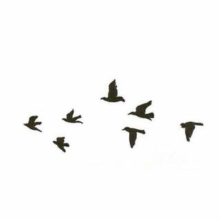 100首私藏好歌，温暖你心