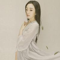 金婷婷 - 漫步人生路.(原版立体声伴奏)
