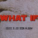 WHAT IF(Load ICON Album)