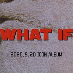 WHAT IF(Load ICON Album)