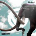 Elephant (Purpura_Cain Remix)专辑