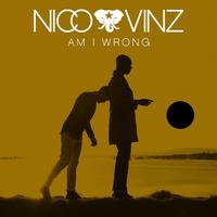 Am I Wrong - Nico and Vinz (TKS karaoke) 带和声伴奏
