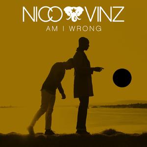 Am I Wrong - Nico and Vinz (TKS karaoke) 带和声伴奏