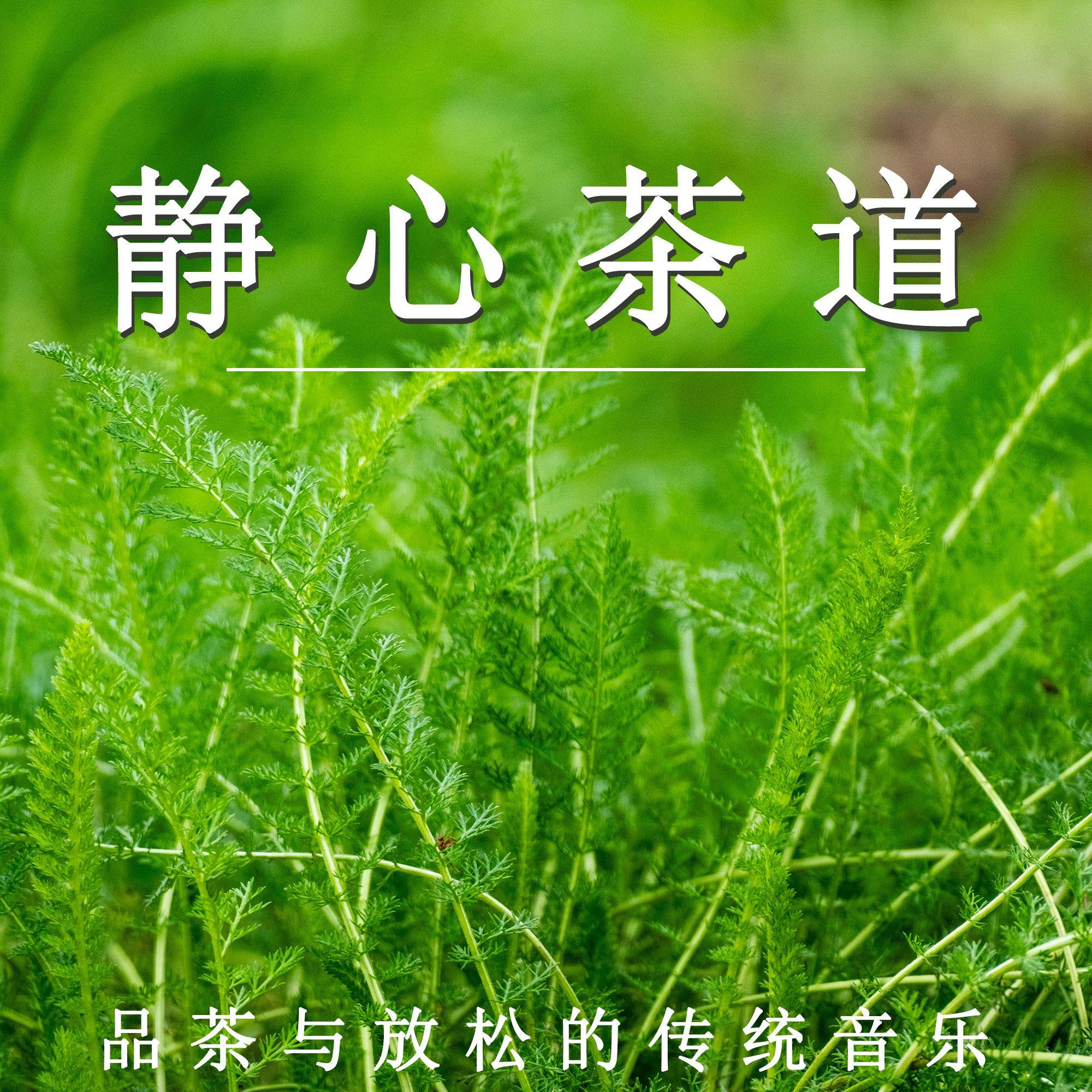 静心茶道 品茶与放松的传统音乐