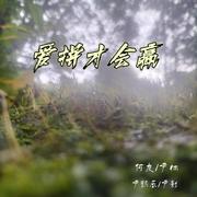 爱拼才会赢（DJ何友版）