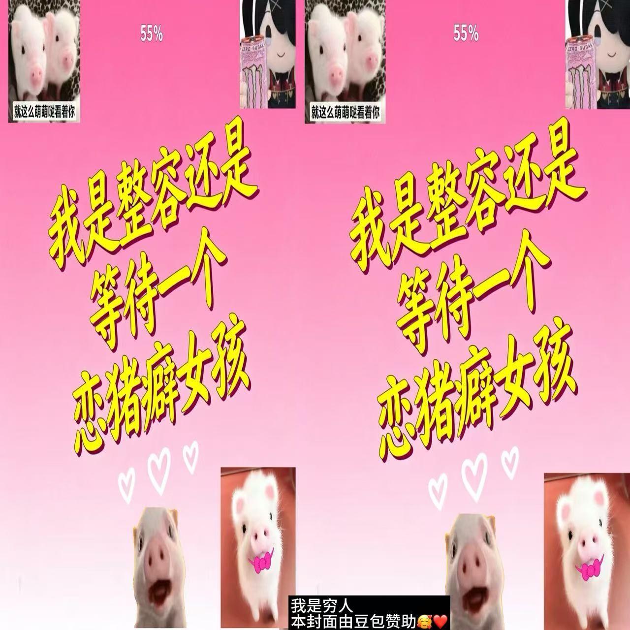 我是整容还是等待一个恋猪女孩 Prod.多芬DolBeatz X harui