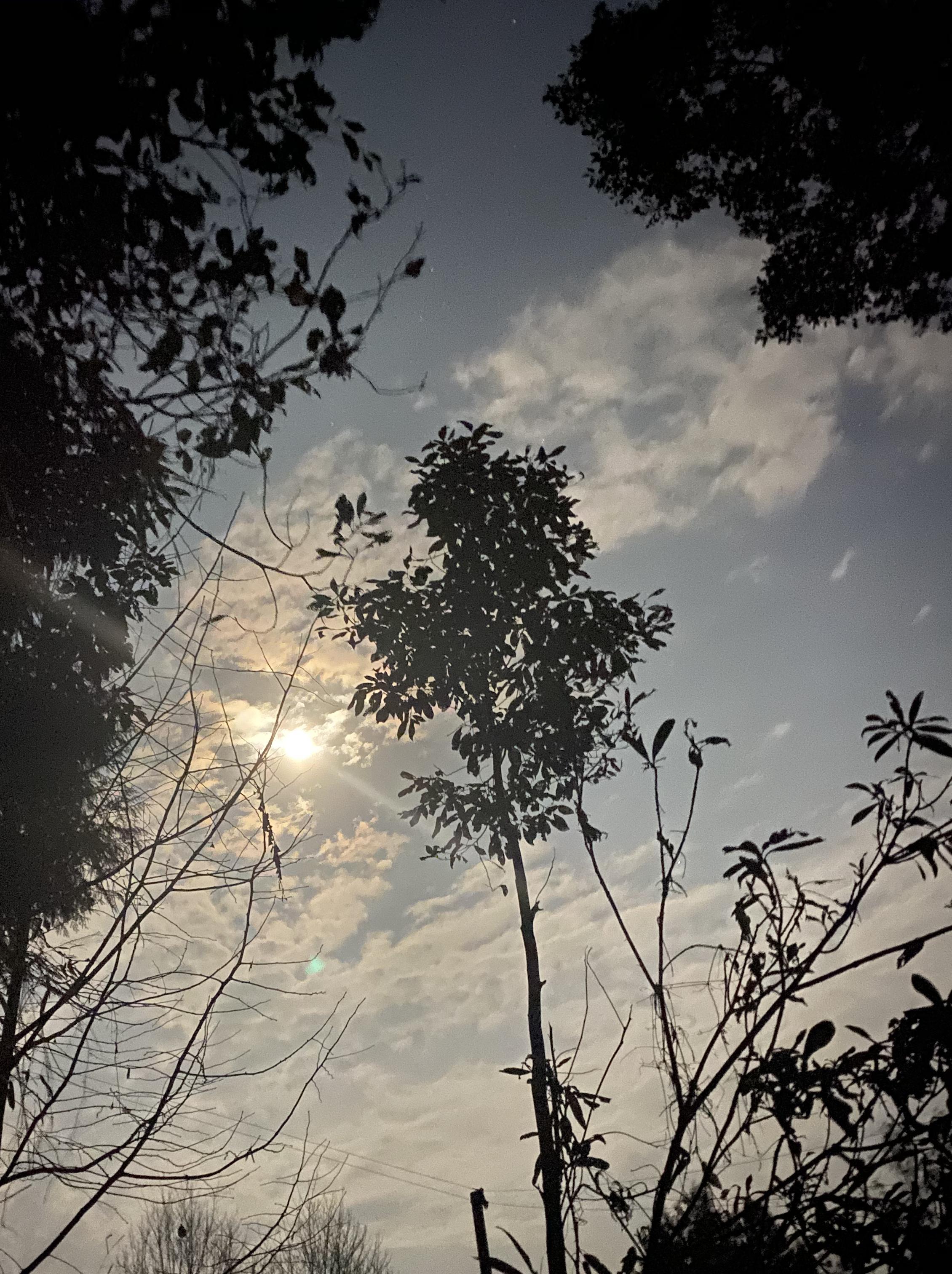 翻唱集