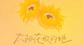 太阳花般的她专辑