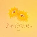 太阳花般的她专辑