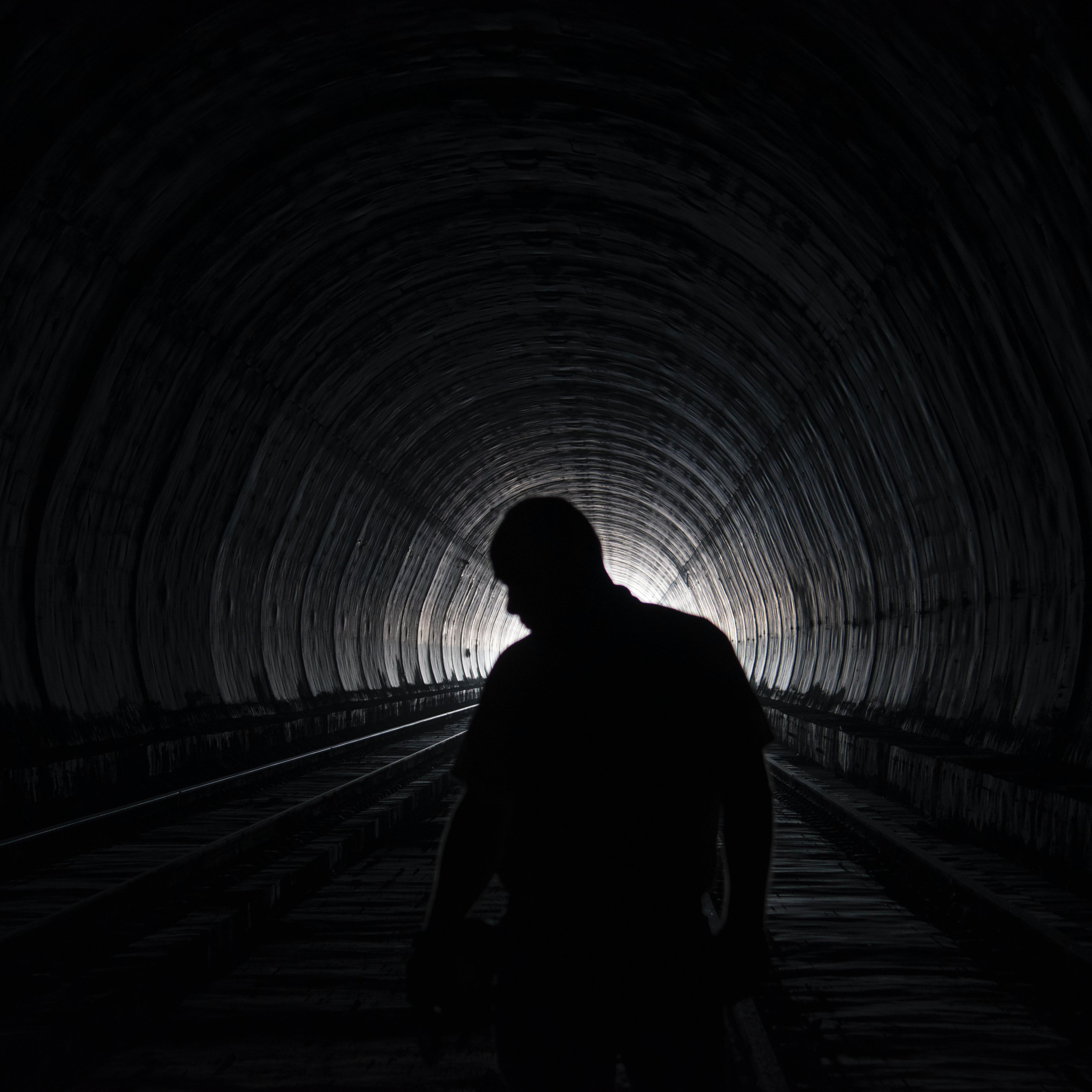 蜜雪冰城主题曲（你爱我，我爱你，蜜雪冰城甜蜜蜜）