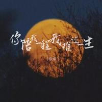 欧啦 - 你陪我一程我难过一生（DJ豪大大版原版伴奏）