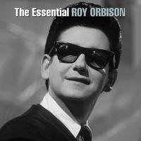 Heartache - Roy Orbison (unofficial Instrumental)