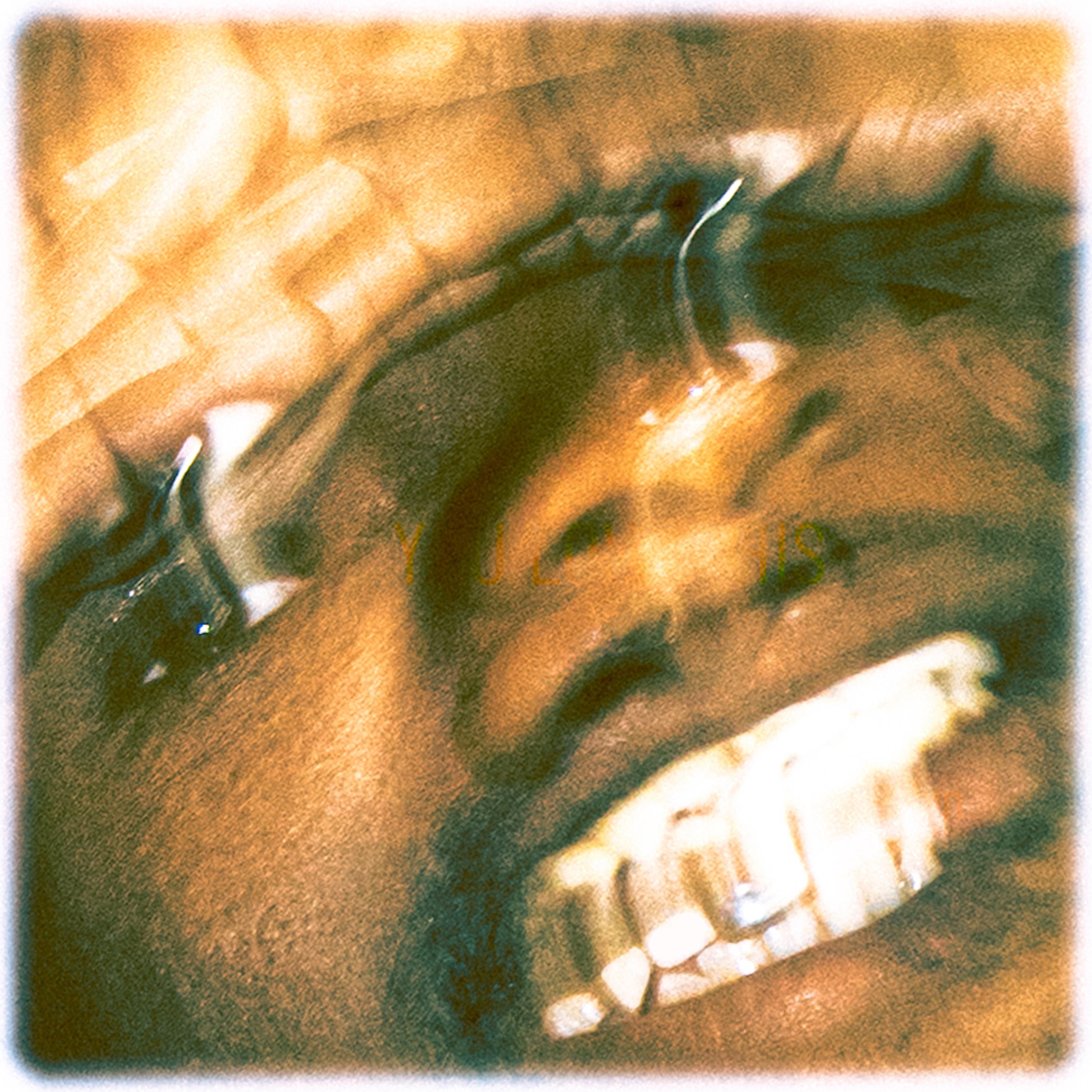 swan hug (feat. jjared)