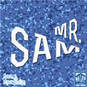 MR.SAM专辑