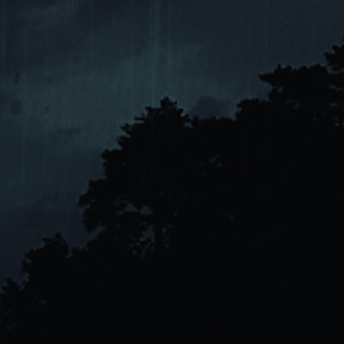 Hallucination.