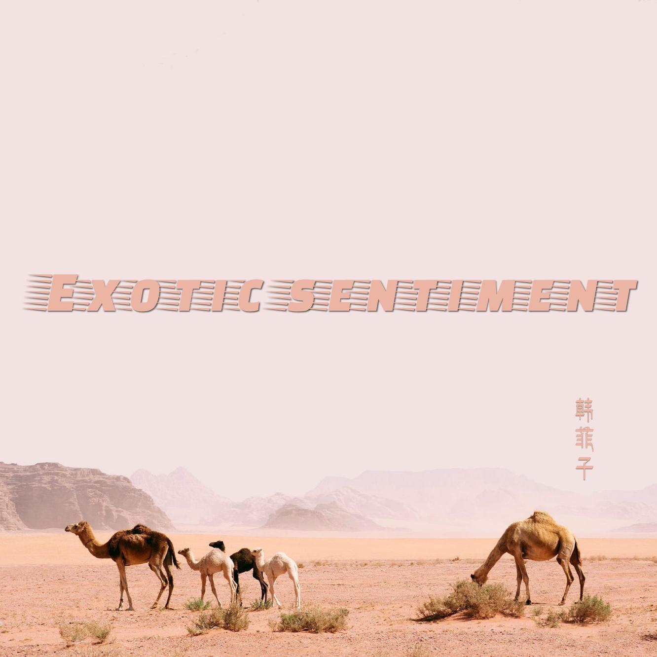 Exotic sentiment专辑