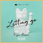 Letting Go (Fynn Remix)专辑