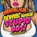 Stupid Hot (Original Mix)专辑