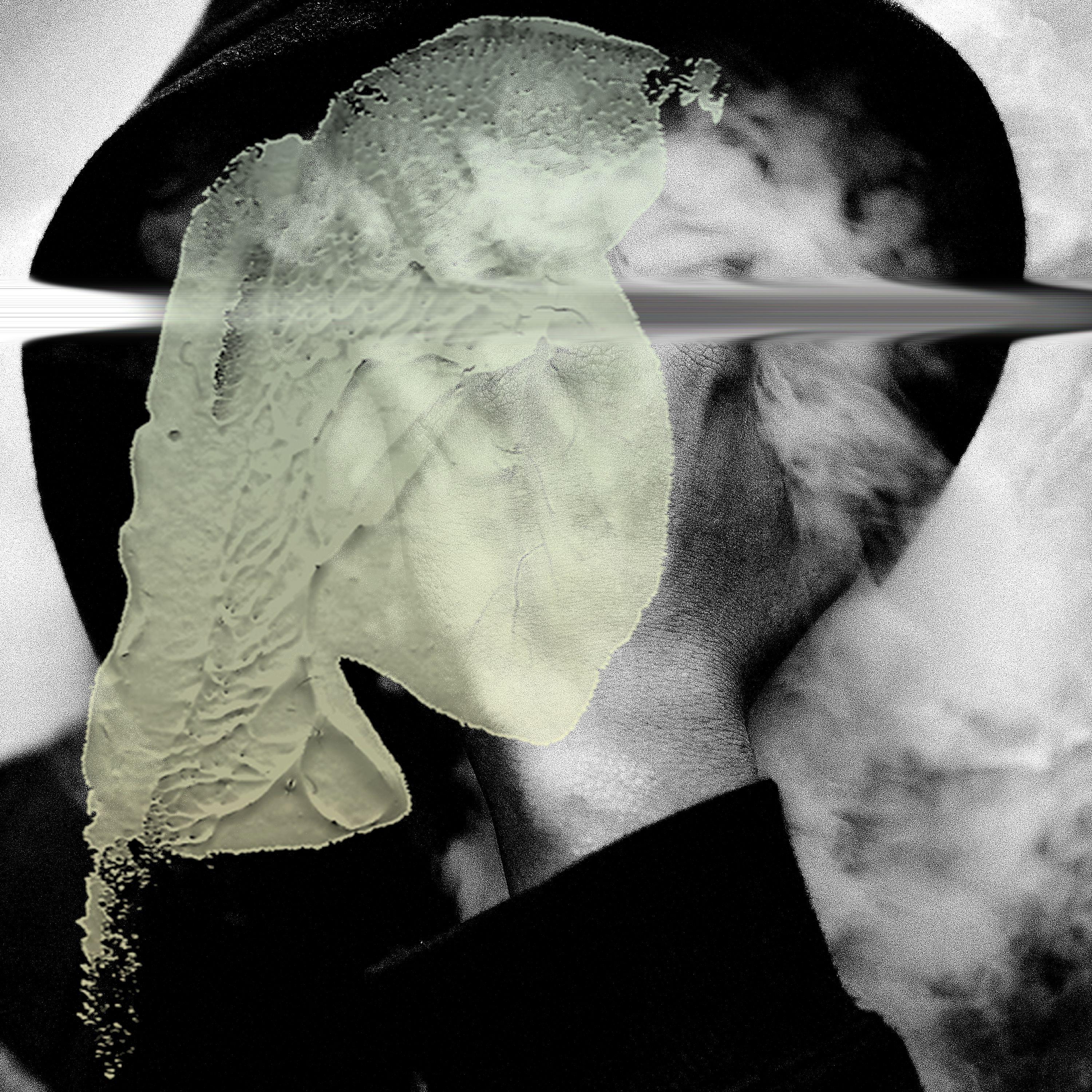 Hopeful Compostions