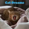 Music For Cats - Open Up Your Heart