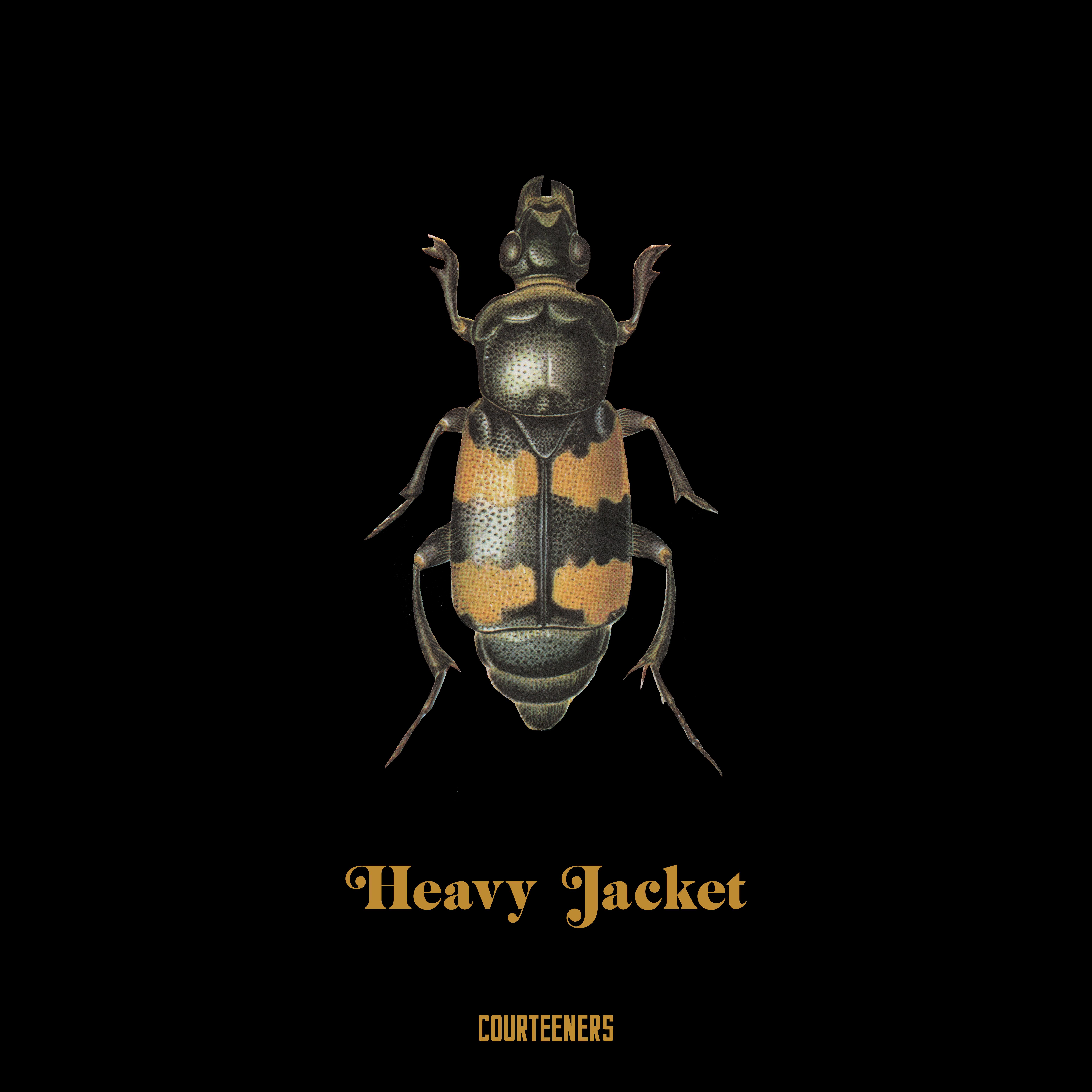 Heavy Jacket