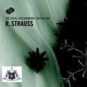 Richard Strauss专辑