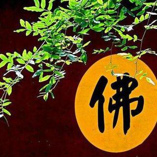 一念心清净，莲花处处开『佛歌』