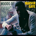 Moods Of Marvin Gaye - MotownSelect.com专辑