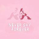 Never say forever专辑