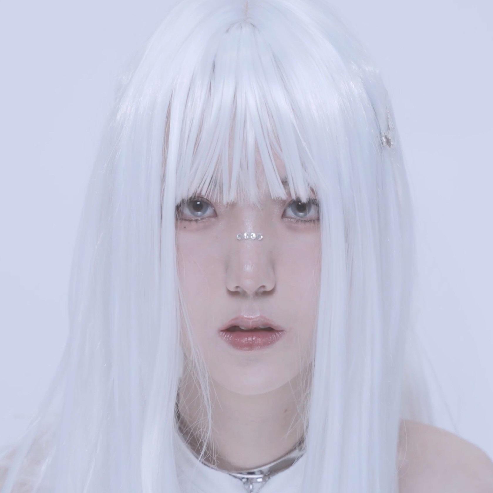 Silver Morpho(银闪蝶)