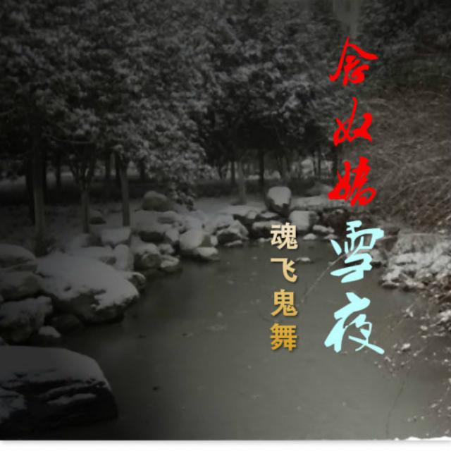 念奴娇.雪夜专辑