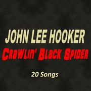 Crawlin' Black Spider