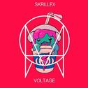 Voltage (Slushii Remix) [Luan Bootleg]专辑