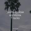 Best Relaxing SPA Music - Drops Inside