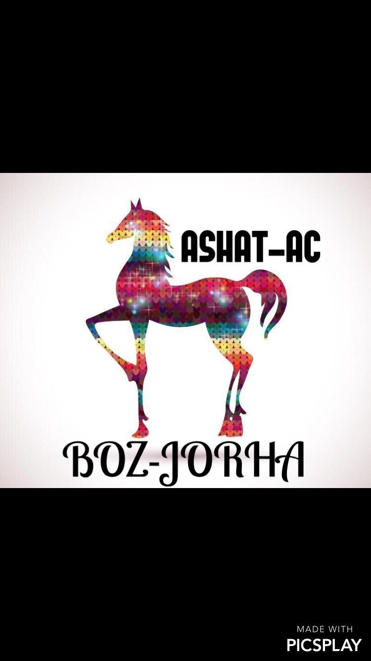 BOZ JORHA专辑