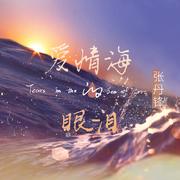 爱情海的眼泪