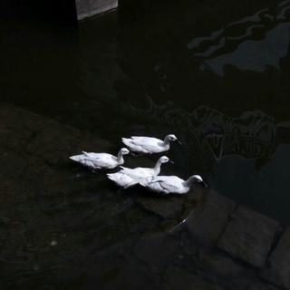 你有没有喜欢很久 却错过的人