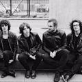 Catfish and the Bottlemen