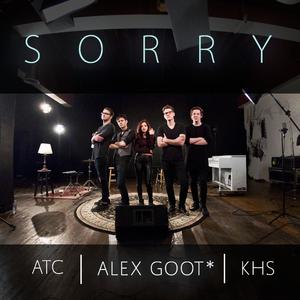 Alex Goot - Sorry (消音版) 带和声伴奏 （降3半音）