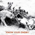 Know Your EnEMY专辑