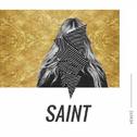 Saint (tofû remix)专辑