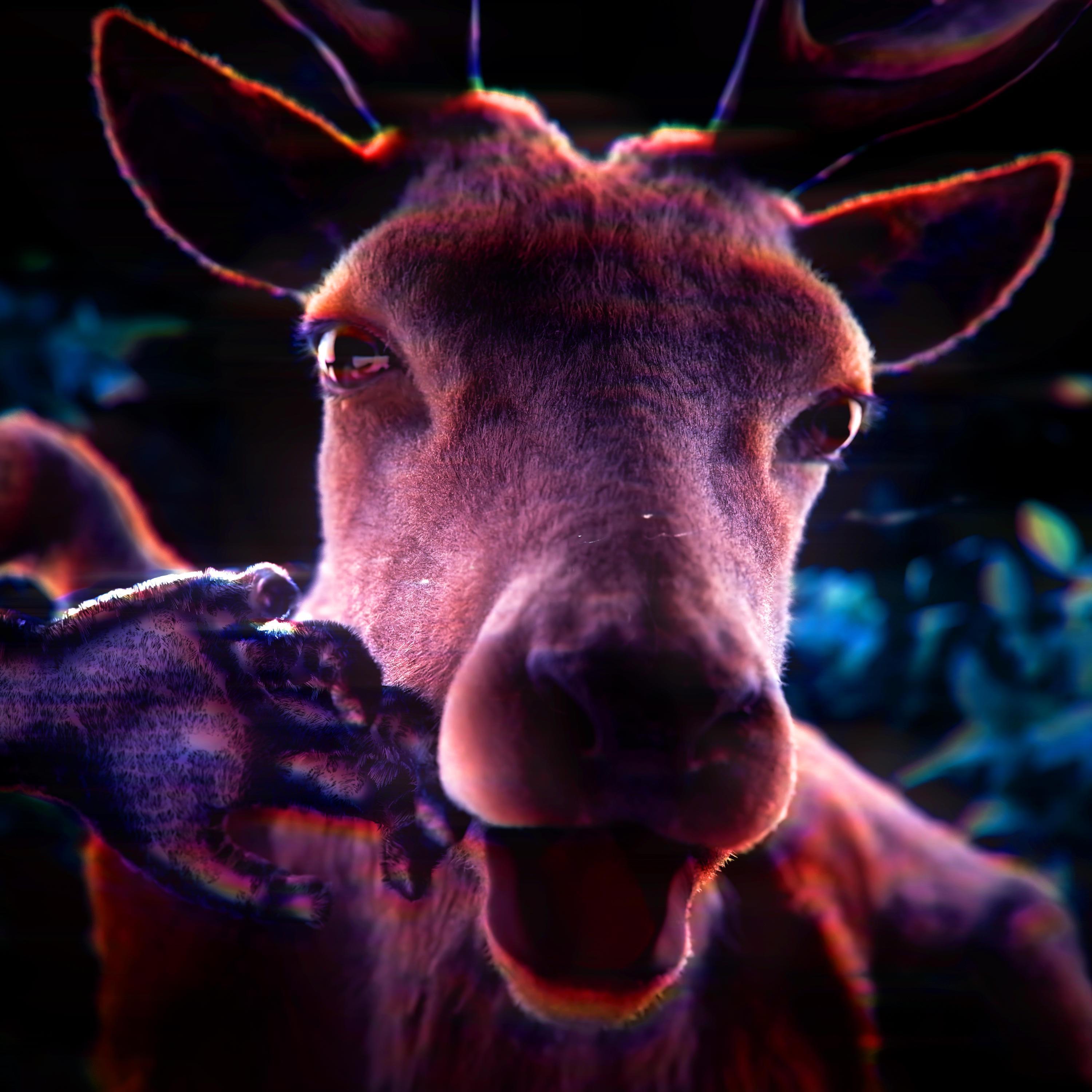 Don't Make A Move (99 Nights In The Forest Song)