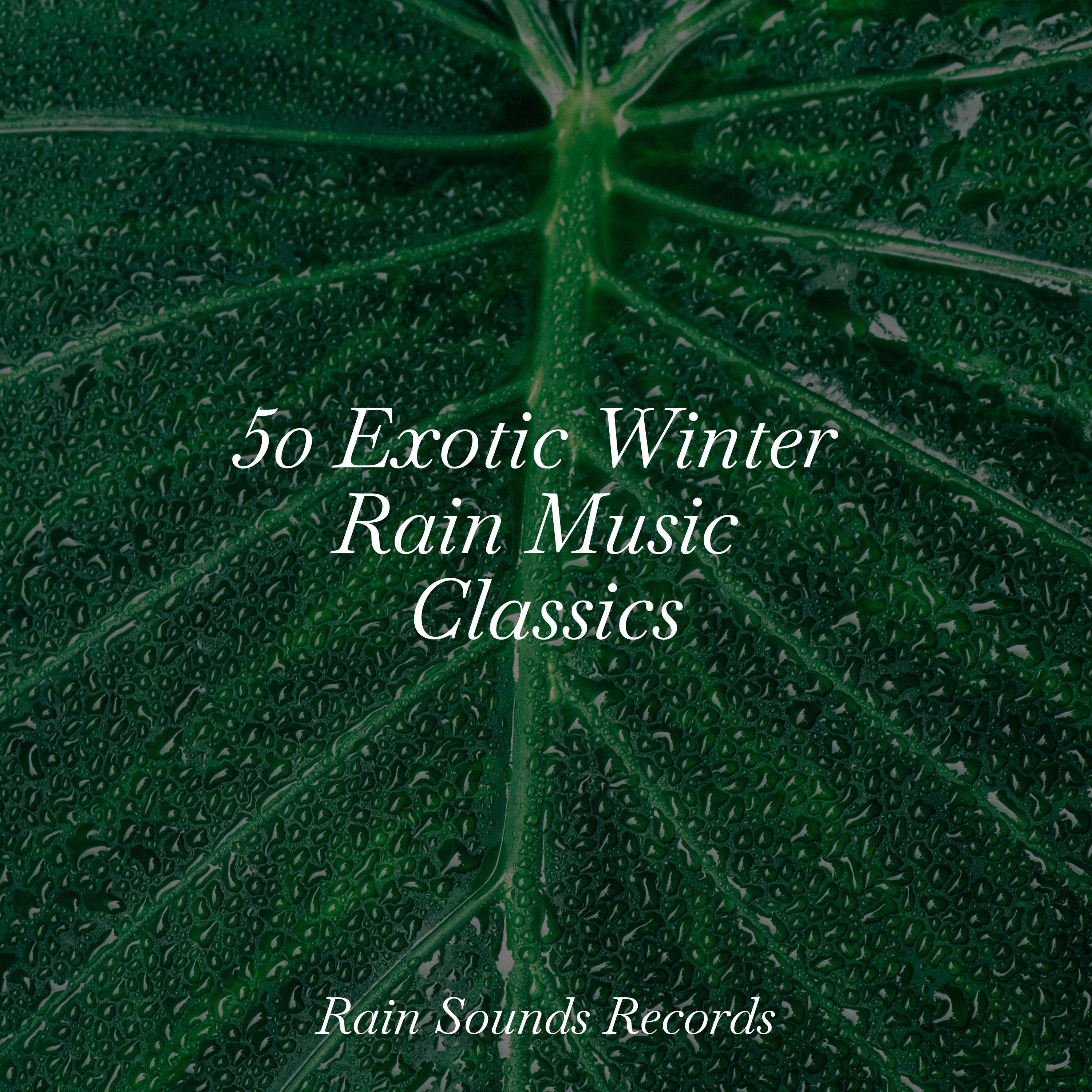 Musica para Dormir Dream House - Melodic Rainfall Retreat