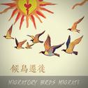 候鸟迁徙专辑