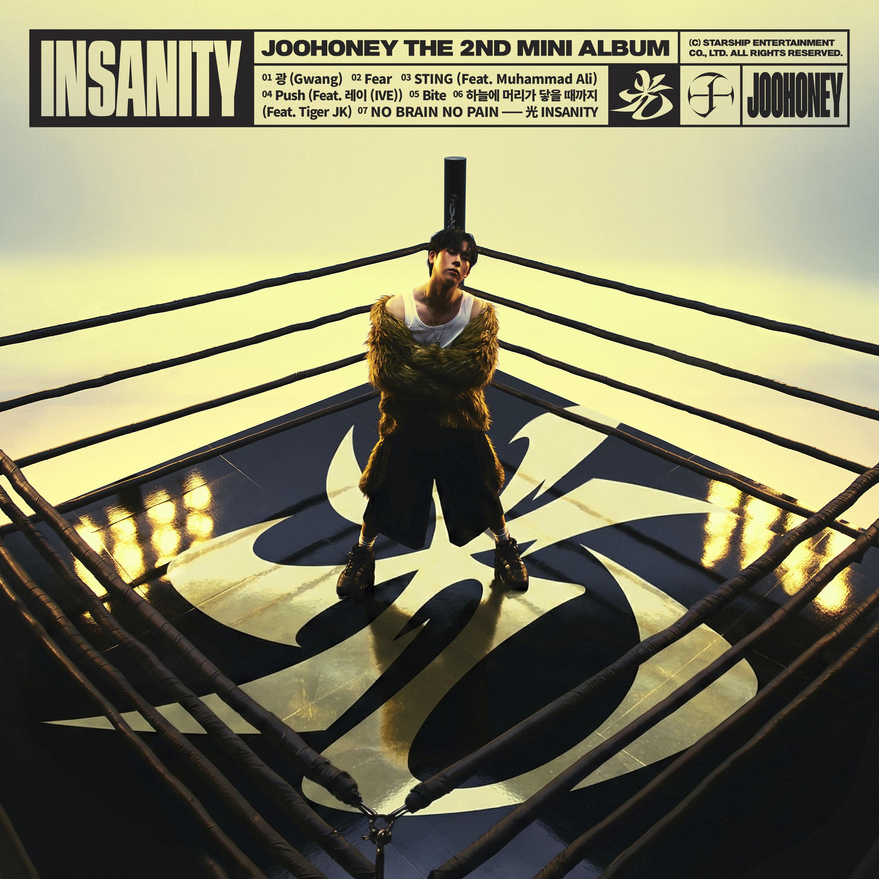 光 (INSANITY)