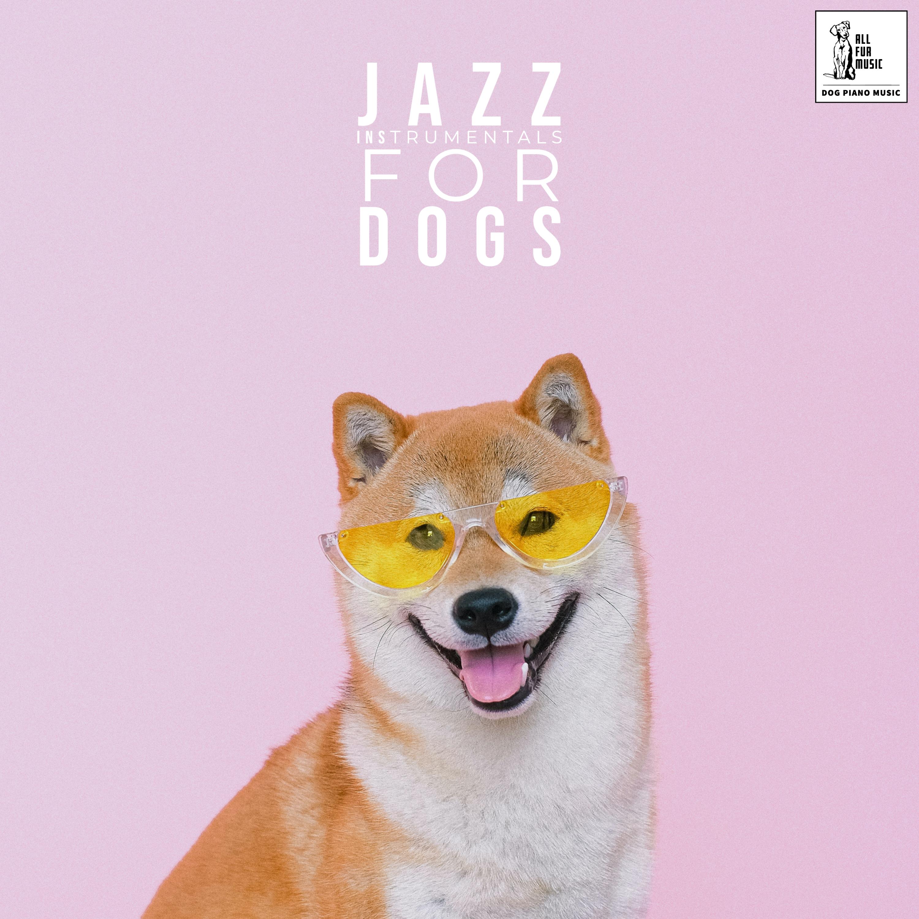 Jazz Instrumentals For Dogs