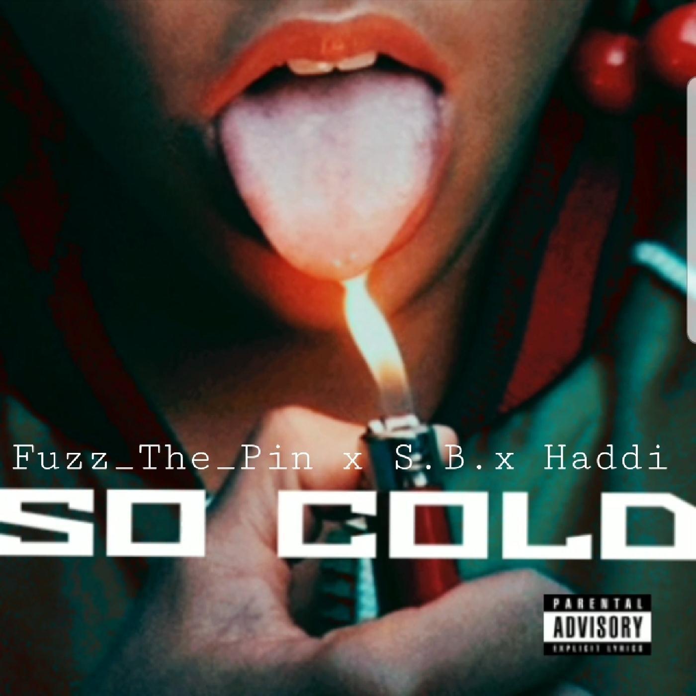 Fuzz_The_Pin - So Cold (feat. S.B & Haddi)