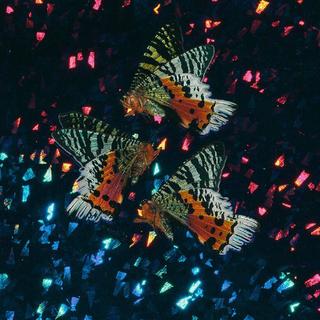 纷繁集 | 狂澜与潜流