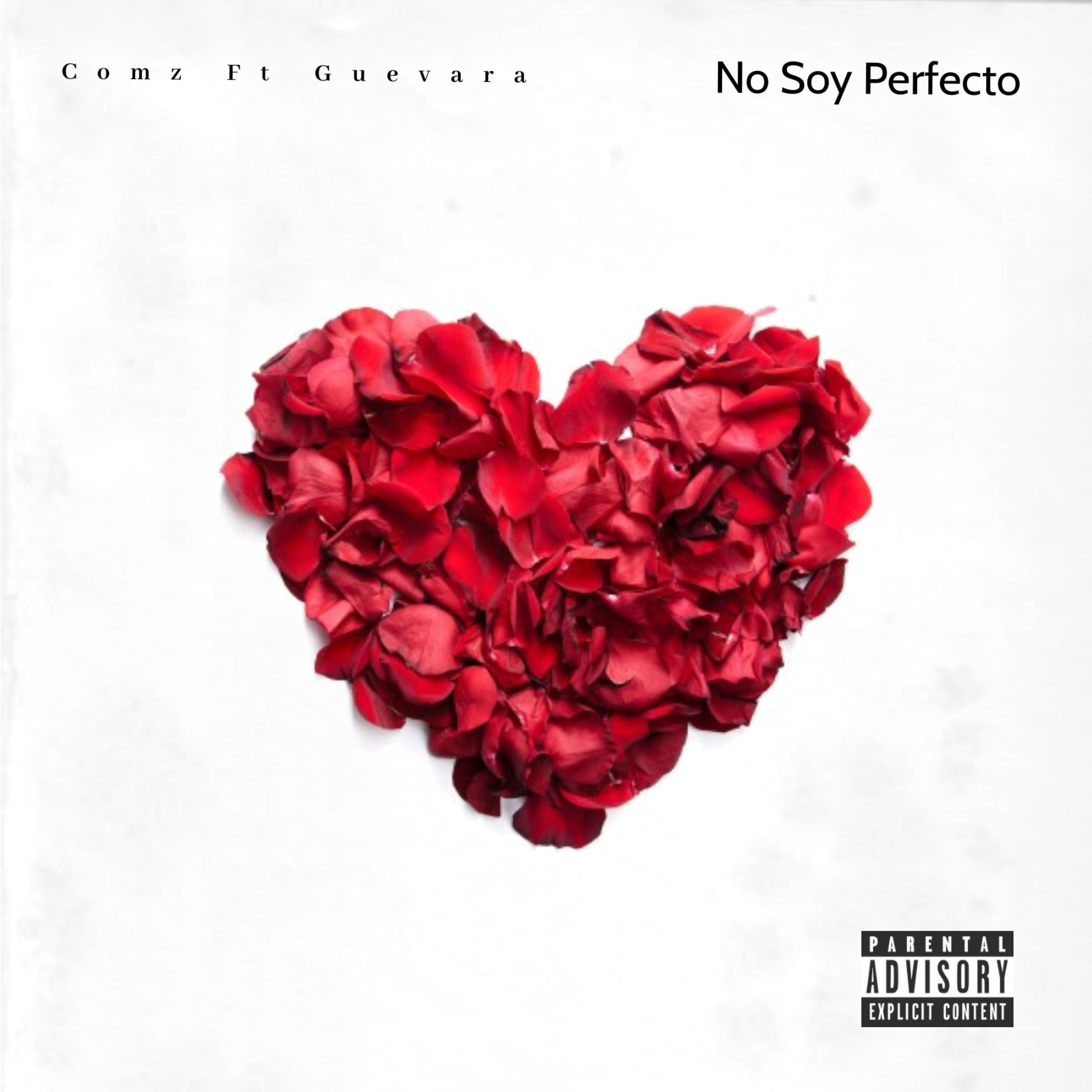 No Soy Perfecto (feat. Guevara)